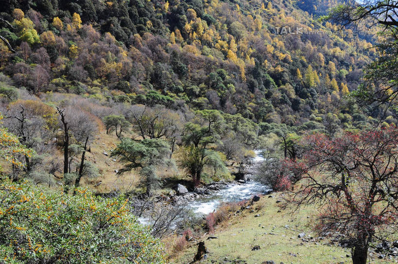 无人,横图,俯视,室外,白天,旅游,度假,草地,草坪,河流,美景,山,树林,水,雪,雪山,植物,大雪,中国,亚洲,阴影,光线,影子,河水,积雪,景观,山峰,水花,水流,雪景,冬天,山峦,娱乐,草,树,树木,绿色,阳光,自然,享受,休闲,景色,放松,四川省,生长,成长,自然风光,东亚,四川,阿坝,中华人民共和国,西南地区,阿坝藏族羌族自治州,阿坝州,川,双桥沟,四姑娘山,彩图,高角度拍摄,shsgf1