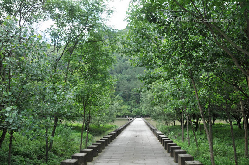 无人,横图,室外,白天,正面,旅游,度假,草地,草坪,河流,美景,山,水,植物,道路,路,中国,亚洲,河水,景观,山峰,水流,小路,交通,山峦,娱乐,浙江,草,树,树木,浙江省,绿色,天空,自然,天,享受,休闲,景色,放松,生长,成长,自然风光,东亚,中华人民共和国,华东地区,浙,丽水,丽水市,缙云,缙云县,鼎湖峰,仙都,仙都风景名胜区,彩图,shsgf1