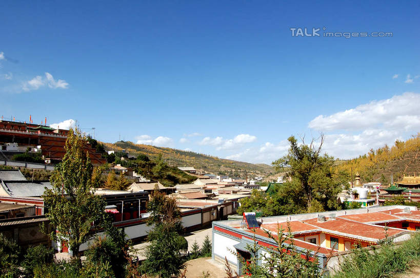 无人,寺庙,横图,俯视,室外,白天,旅游,度假,名胜古迹,山,山脉,植物,标志建筑,地标,建筑,中国,亚洲,阴影,节日,遗迹,光线,影子,山峰,云,云朵,山峦,云彩,古迹,文化,文物,娱乐,建设,古建筑,树,树木,蓝色,绿色,白云,蓝天,天空,阳光,自然,庙宇,群山,天,祈祷,享受,休闲,健康,旅游胜地,放松,许愿,宗教,佛教,信仰,生长,晴朗,成长,纪念,祈求,古文明,东亚,青海,青海省,塔尔寺,鲁沙尔镇,西宁,中华人民共和国,省会,西北地区,西宁市,青,释教,县城,湟中,湟中县,平安,晴空,彩图,高角度拍摄,庙,寺,shsgf1