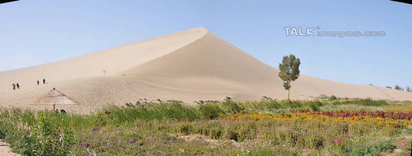 东方人,走,横图,室外,白天,正面,旅游,度假,草地,草坪,花海,花圃,美景,沙漠,植物,叶子,敦煌,中国,亚洲,一排,阴影,服装,整齐,盛开,光线,沙子,影子,地平线,景观,辽阔,地面,沙丘,许多人,花蕾,注视,休闲装,黄种人,娱乐,草,花,花瓣,花朵,花卉,鲜花,树,树木,排列,衣服,蓝色,绿色,蓝天,天空,阳光,自然,花丛,花束,花田,天,花苞,花蕊,观察,看,一群人,享受,休闲,广阔,休闲服,景色,放松,服饰,生长,晴朗,成长,观看,一望无际,察看,队列,关注,自然风光,延伸,东亚,甘肃,甘肃省,万里无云,中华人民共和国,天地相交,西北地区,甘,酒泉,酒泉市,无边无际,一马平川,敦煌鸣沙山,男人,男性,年轻男性,年轻女性,女人,女性,亚洲人,大漠,砂漠,晴空,晴空万里,步行,散步,走路,彩图,全身,shsgf1