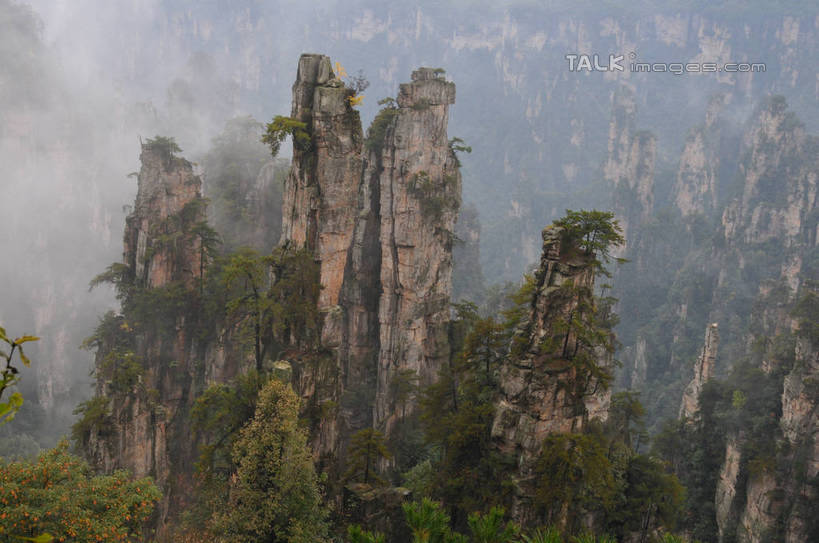 无人,横图,俯视,室外,白天,旅游,度假,草地,草坪,石头,美景,山,山脉,植物,雾,张家界,中国,亚洲,一排,许多,阴影,朦胧,模糊,整齐,光线,石子,影子,景观,山峰,山峦,很多,娱乐,草,树,树木,排列,绿色,阳光,自然,群山,享受,休闲,景色,放松,生长,成长,迷雾,队列,自然风光,东亚,湖南,湖南省,天子山,中华人民共和国,华中地区,湘,张家界市,武陵源区,石块,岩石,大雾,彩图,高角度拍摄,shsgf1