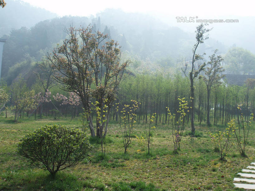 无人,横图,室外,白天,正面,旅游,度假,草地,草坪,美景,山,山脉,植物,雾,中国,亚洲,朦胧,模糊,景观,山峰,山峦,娱乐,浙江,草,树,树木,浙江省,绿色,自然,群山,享受,休闲,景色,放松,石浦渔港,象山,宁波,生长,成长,迷雾,自然风光,东亚,中华人民共和国,华东地区,浙,宁波市,大雾,彩图,石浦,石浦镇,象山县,shslj1