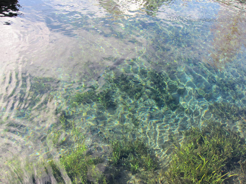 无人,横图,俯视,室外,白天,旅游,度假,美景,日本,亚洲,阴影,波纹,光线,影子,池塘,景观,水池,青苔,苔藓,涟漪,娱乐,水纹,阳光,自然,波浪,享受,休闲,景色,放松,泉水,忍野八海,自然风光,东亚,本州,本州岛,日本国,中部地方,山梨,山梨县,水晕,彩图,高角度拍摄,涌泉群,shslj1