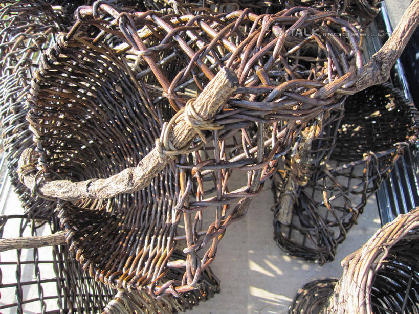 无人,交叉,横图,俯视,室外,特写,白天,竹子,静物,日本,亚洲,阴影,竹制,编织,光线,篮子,影子,池塘,阳光,竹篮,泉水,忍野八海,竹条,交织,竹制品,东亚,本州,本州岛,日本国,中部地方,山梨,山梨县,穿插,彩图,高角度拍摄,涌泉群,shslj1