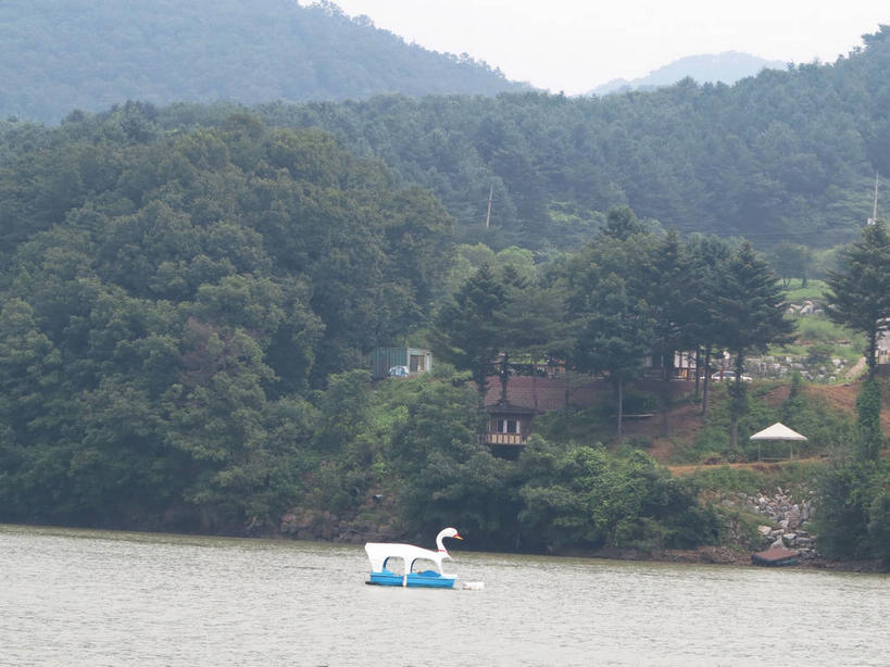 无人,横图,室外,白天,正面,旅游,度假,美景,森林,山,山脉,树林,植物,船,春川,南怡岛,韩国,亚洲,一艘,景观,山峰,山峦,娱乐,树,树木,绿色,天空,自然,交通工具,群山,天,享受,休闲,景色,放松,游乐设施,生长,成长,舟,自然风光,载具,脚踏船,东亚,大韩民国,江原道,春川市,彩图,道,shslj1