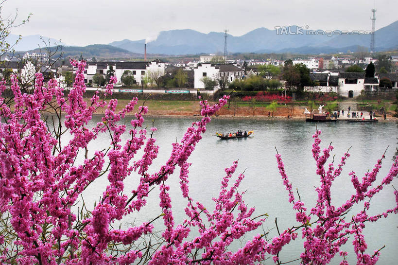 无人,家,横图,室外,白天,正面,爱情,旅游,度假,河流,石头,美景,山,山脉,水,植物,船,桃花,中国,亚洲,阴影,波纹,盛开,光线,石子,影子,房屋,屋子,河水,景观,山顶,山峰,水流,木船,涟漪,山峦,花蕾,娱乐,楼房,住宅,花,花瓣,花朵,鲜花,树,树木,蓝色,绿色,倒影,蓝天,水纹,天空,阳光,自然,交通工具,波浪,群山,天,花苞,花蕊,享受,休闲,景色,放松,生长,晴朗,成长,倒映,舟,俘虏,自然风光,载具,东亚,沉积岩,安徽,安徽省,泾县,万里无云,中华人民共和国,华东地区,水晕,皖,宣城,宣城市,颠峰,极峰,反照,水成岩,石块,岩石,晴空,晴空万里,彩图,房子,桃花潭镇,shtjw1