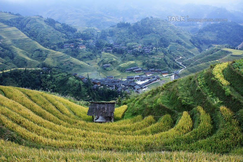 无人,家,农田,横图,俯视,室外,白天,旅游,度假,庄稼,梯田,农作物,日出,美景,山,山脉,太阳,雾,中国,亚洲,阴影,朦胧,模糊,曲折,弯曲,光线,影子,房屋,屋子,景观,山峰,朝霞,晨曦,黎明,山峦,娱乐,楼房,住宅,阳光,自然,群山,享受,休闲,瓦房,景色,放松,蜿蜒,广西,迷雾,自然风光,东亚,龙胜,广西壮族自治区,中华人民共和国,桂,华南地区,龙胜各族自治县,金坑梯田,朝阳,大雾,彩图,高角度拍摄,耕地,庄稼田,卯时,破晓,日始,房子,shwf1