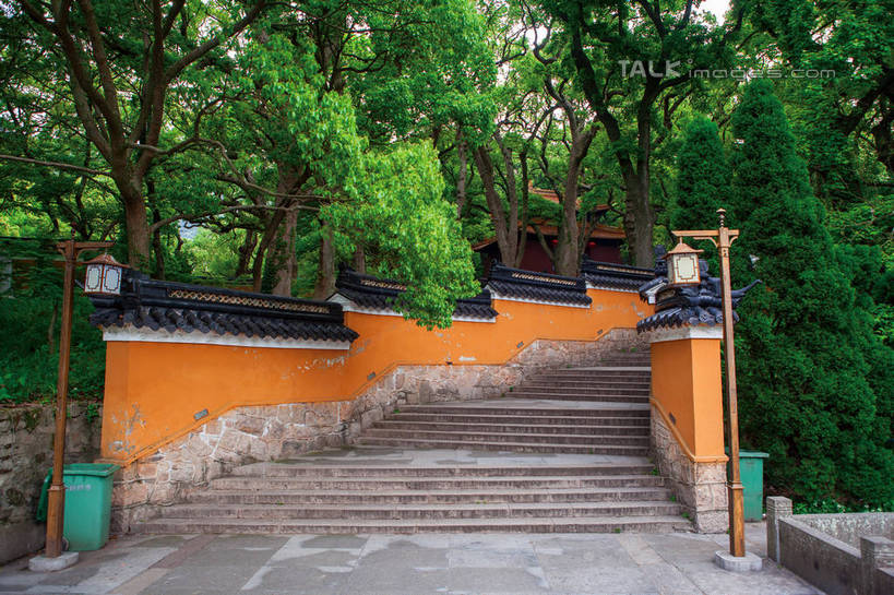 无人,寺庙,栏杆,横图,室外,白天,正面,旅游,度假,名胜古迹,植物,楼梯,标志建筑,道路,地标,建筑,路,路灯,照明,中国,亚洲,阴影,节日,遗迹,光线,扶手,影子,阶梯,墙,小路,灯光,交通,古迹,文化,文物,娱乐,建设,古建筑,浙江,护栏,墙壁,墙面,台阶,灯,树,树木,浙江省,绿色,阳光,自然,庙宇,祈祷,享受,休闲,健康,旅游胜地,放松,许愿,宗教,佛教,信仰,生长,成长,纪念,祈求,照亮,照明设备,古文明,东亚,普陀区,普陀山,法雨禅寺,法雨寺,中华人民共和国,华东地区,浙,舟山,舟山市,释教,平安,彩图,庙,寺,海天佛国,shwf1