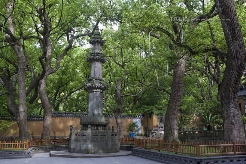 无人,寺庙,横图,室外,白天,正面,旅游,度假,名胜古迹,植物,标志建筑,地标,建筑,雕塑,中国,亚洲,阴影,节日,遗迹,艺术,装饰,光线,雕刻,雕像,影子,枝条,古迹,文化,文物,娱乐,建设,古建筑,浙江,石雕,树,树木,树枝,浙江省,绿色,阳光,自然,工艺品,庙宇,祈祷,享受,休闲,健康,旅游胜地,放松,许愿,宗教,佛教,信仰,生长,成长,纪念,祈求,美术,主题,陈列,古文明,东亚,普陀区,普陀山,法雨禅寺,法雨寺,中华人民共和国,华东地区,浙,功能,美学,舟山,舟山市,释教,虬枝,枝杈,平安,彩图,庙,寺,海天佛国,shwf1