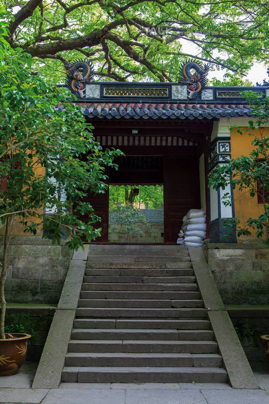 无人,寺庙,竖图,室外,白天,仰视,旅游,度假,名胜古迹,植物,楼梯,门,标志建筑,地标,建筑,中国,亚洲,阴影,节日,遗迹,光线,影子,阶梯,墙,枝条,古迹,文化,文物,娱乐,建设,古建筑,浙江,墙壁,墙面,台阶,树,树木,树枝,浙江省,绿色,阳光,自然,门框,庙宇,祈祷,享受,休闲,健康,旅游胜地,放松,许愿,宗教,佛教,信仰,生长,成长,纪念,祈求,古文明,东亚,普陀区,普陀山,法雨禅寺,法雨寺,中华人民共和国,华东地区,浙,舟山,舟山市,释教,虬枝,枝杈,平安,彩图,低角度拍摄,庙,寺,海天佛国,shwf1