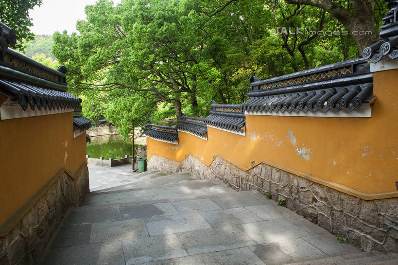 无人,寺庙,横图,室外,白天,正面,旅游,度假,草地,草坪,名胜古迹,植物,楼梯,标志建筑,地标,建筑,中国,亚洲,阴影,节日,遗迹,光线,影子,阶梯,墙,走道,走廊,过道,古迹,文化,文物,娱乐,建设,古建筑,浙江,墙壁,墙面,台阶,草,树,树木,浙江省,绿色,天空,阳光,自然,庙宇,天,祈祷,享受,休闲,健康,旅游胜地,放松,许愿,宗教,佛教,信仰,生长,成长,纪念,祈求,古文明,东亚,普陀区,普陀山,法雨禅寺,法雨寺,中华人民共和国,华东地区,浙,舟山,舟山市,释教,平安,彩图,庙,寺,海天佛国,shwf1