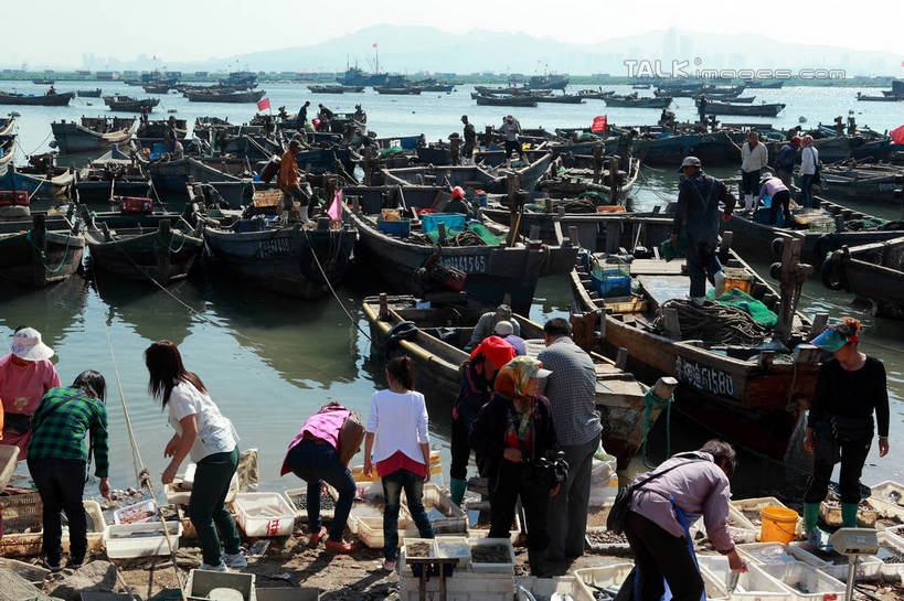 东方人,伙伴,朋友,渔夫,码头,站,横图,室外,白天,正面,旅游,度假,友谊,合作,团队,海浪,海洋,美景,港口,船,旗帜,中国,亚洲,弯腰,握,阴影,服装,飘扬,光线,影子,景观,浪花,木船,许多人,拿,拿着,黄种人,娱乐,旗子,山东,烟台,衣服,蓝色,蓝天,天空,阳光,自然,海水,交通工具,天,站着,一群人,享受,休闲,景色,放松,战略,握着,服饰,渔网,晴朗,飘逸,渔具,舟,衣着,穿着,抓捕,自然风光,载具,飞扬,捕捞,鱼网,海景,东亚,山东省,万里无云,拉网,捕捞工具,中华人民共和国,华东地区,弯身,联合,合谋,鲁,烟台市,旌旗,旗号,衣饰,配合,协作,男人,男性,女人,女性,中年男性,中年女性,亚洲人,捕鱼人,打鱼人,大海,风浪,海,海水的波动,近岸浪,涌浪,晴空,晴空万里,站立,半身,彩图,摆渡口,埠头,渡口,渡头,港湾,海港,货运码头,口岸,商港,shwf1