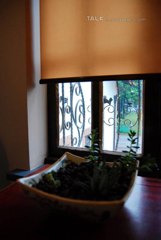 无人,家,竖图,室内,白天,正面,安全,植物,别墅,窗户,窗帘,桌面,桌子,叶子,阴影,装饰,反射,木制,盆栽,影子,房屋,木桌,屋子,公寓,绿叶,防护,盆景,洋房,楼房,防盗窗,玻璃窗,住宅,绿色,自然,帘子,木制品,嫩叶,遮阳,生长,成长,保护,华丽,修饰,点缀,保险,保全,周全,安稳,安定,衬托,美观,雅致,雅观,平安,叶,叶片,彩图,房子,木桌子,shxw1