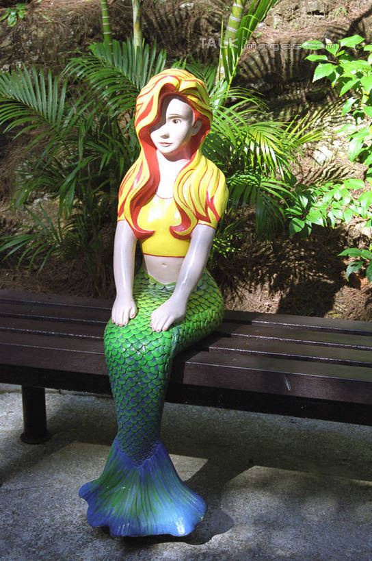 东方人,一个人,无人,坐,竖图,室外,白天,正面,度假,石头,美景,植物,城市风光,城市,椅子,雕塑,香港,中国,亚洲,仅一个年轻女性,仅一个女性,仅一个人,阴影,艺术,装饰,光线,雕刻,雕像,石子,影子,木椅,景观,注视,黄种人,娱乐,树,树木,绿色,阳光,自然,工艺品,观察,看,享受,休闲,景色,放松,生长,成长,观看,纪念,美术,港,察看,关注,主题,陈列,东亚,香港岛,香港特别行政区,港澳台,中华人民共和国,功能,美学,港岛,年轻女性,女人,女性,亚洲人,石块,坐着,彩图,全身,黄竹坑,香港海洋公园,美人鱼,shzwj1