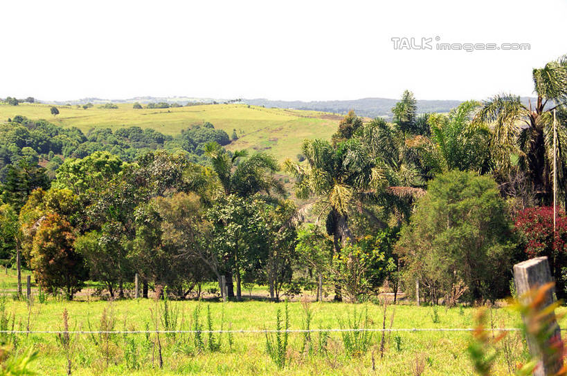 无人,横图,室外,白天,正面,旅游,度假,草地,草坪,美景,树林,植物,澳大利亚,阴影,光线,影子,景观,娱乐,草,树,树木,蓝色,绿色,蓝天,天空,阳光,自然,天,享受,休闲,景色,放松,生长,晴朗,成长,自然风光,大洋洲,澳洲,昆士兰州,万里无云,南方大陆,布里斯班,首府,澳大利亚联邦,昆士兰,晴空,晴空万里,彩图,shzwj1
