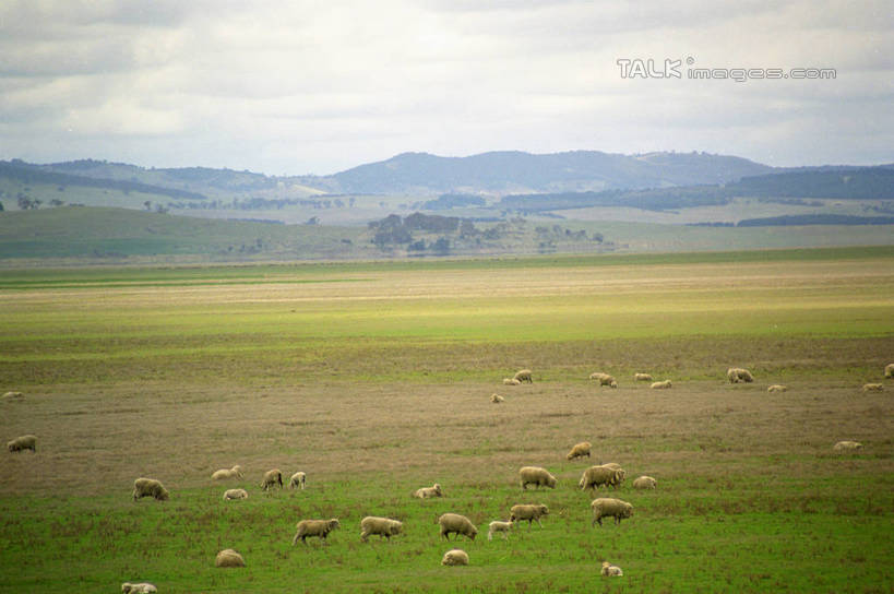 无人,横图,室外,白天,正面,旅游,度假,草地,草原,石头,美景,山,山脉,植物,澳大利亚,阴影,光线,石子,影子,景观,旷野,山顶,山峰,云,云朵,山峦,云彩,娱乐,草,蓝色,绿色,白云,蓝天,天空,阳光,自然,群山,天,享受,休闲,景色,放松,晴朗,自然风光,原野,大洋洲,澳洲,昆士兰州,南方大陆,布里斯班,首府,澳大利亚联邦,昆士兰,颠峰,极峰,石块,晴空,彩图,shzwj1