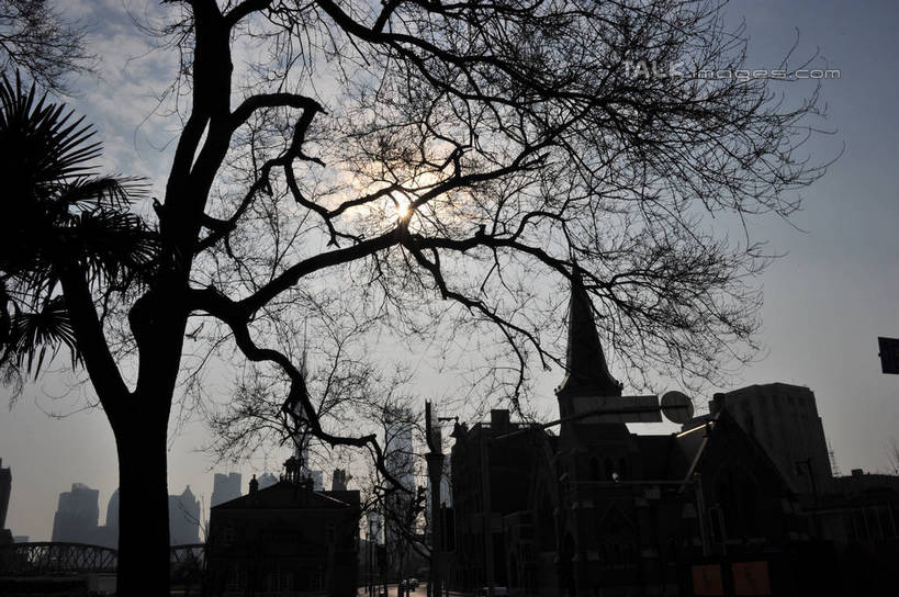 无人,博物馆,高楼大厦,横图,室外,白天,仰视,度假,美景,太阳,植物,城市风光,城市,大厦,建筑,摩天大楼,上海,中国,亚洲,阴影,研究,光线,影子,景观,枝条,背光,教育,娱乐,虹口区,树,树木,树枝,蓝色,绿色,蓝天,天空,阳光,自然,天,享受,休闲,景色,放松,生长,晴朗,成长,展览,申,欣赏,逆光,陈列,东亚,上海市,上海邮政大楼,上海邮电大楼,上海邮政博物馆,万里无云,中华人民共和国,沪,华东地区,虬枝,枝杈,典藏,晴空,晴空万里,彩图,低角度拍摄,大楼,高层建筑,高楼,摩天楼,上海邮政总局,shzxz1