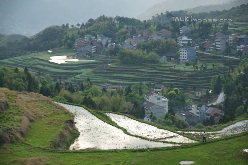 无人,农田,横图,俯视,室外,白天,旅游,度假,农业,庄稼,梯田,农作物,草地,草坪,美景,山,山脉,植物,中国,亚洲,曲折,弯曲,稻田,景观,山峰,山峦,娱乐,浙江,草,树,树木,浙江省,绿色,天空,自然,群山,天,享受,休闲,景色,放松,蜿蜒,生长,成长,自然风光,东亚,永嘉,中华人民共和国,华东地区,浙,茗岙,温州,温州市,彩图,高角度拍摄,耕地,庄稼田,茗岙乡,永嘉县,shzyn1