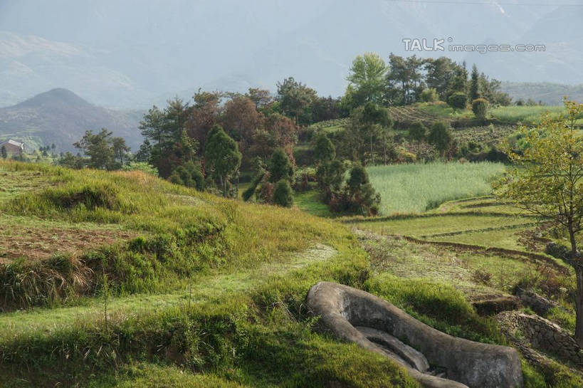 无人,农田,横图,俯视,室外,白天,旅游,度假,农业,庄稼,梯田,农作物,草地,草坪,美景,山,山脉,植物,中国,亚洲,曲折,弯曲,稻田,景观,山峰,山峦,娱乐,浙江,草,树,树木,浙江省,绿色,自然,群山,享受,休闲,景色,放松,蜿蜒,生长,成长,自然风光,东亚,永嘉,中华人民共和国,华东地区,浙,茗岙,温州,温州市,彩图,高角度拍摄,耕地,庄稼田,茗岙乡,永嘉县,shzyn1