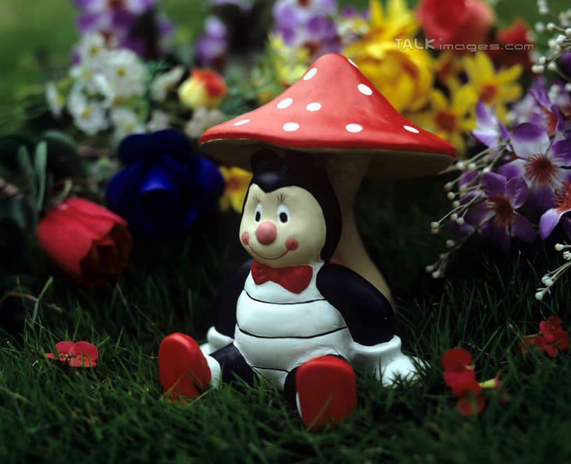 无人,坐,笑,微笑,横图,室外,特写,白天,正面,草地,草坪,植物,雕塑,阴影,服装,朦胧,模糊,艺术,装饰,盛开,光线,金龟子,昆虫,雕刻,雕像,领结,影子,菌菇,甲壳虫,菌类,花蕾,注视,草,花,花瓣,花朵,鲜花,衣服,绿色,阳光,动物,工艺品,花苞,花蕊,观察,看,食用菌,服饰,观看,纪念,美术,察看,象征,衣着,庄重,真菌,穿着,关注,主题,甲虫,身份,陈列,益虫,功能,美学,正式,地位,衣饰,坐着,彩图,全身,szzm1