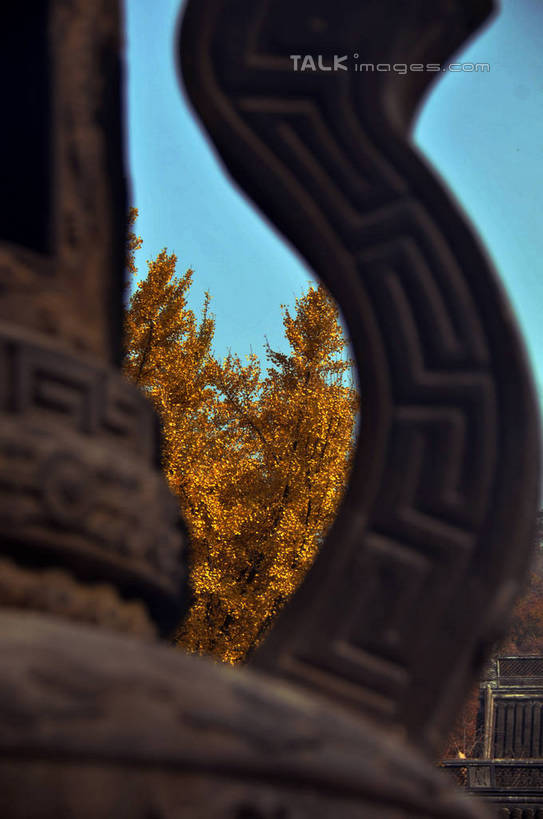 无人,寺庙,竖图,室外,特写,白天,仰视,旅游,度假,名胜古迹,秋季,植物,标志建筑,地标,建筑,叶子,雕塑,南京,中国,亚洲,阴影,花纹,节日,朦胧,模糊,遗迹,艺术,装饰,光线,雕刻,雕像,图案,香炉,影子,枯叶,落叶,燃烧,古迹,文化,文物,娱乐,建设,古建筑,江苏,树,树木,蓝色,绿色,蓝天,天空,阳光,自然,香火,工艺品,庙宇,天,祈祷,享受,休闲,健康,旅游胜地,放松,许愿,宗教,信仰,生长,晴朗,成长,纪念,祈求,美术,祭奠,祭祀,主题,祭坛,陈列,古文明,东亚,江苏省,南京市,万里无云,中华人民共和国,华东地区,苏,省会,功能,美学,敬拜,栖霞寺,栖霞山,平安,石头城,叶,叶片,晴空,晴空万里,秋,秋天,彩图,低角度拍摄,庙,寺,yzdzj1