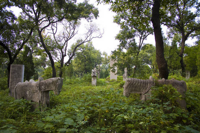 横图,彩色,室外,白天,旅游,度假,名胜古迹,树林,标志建筑,地标,建筑,马,野生动物,雕塑,中国,遗迹,艺术,装饰,雕刻,雕像,图片,文化遗产,古迹,文物,娱乐,建设,古建筑,山东,石雕,树木,动物,石碑,工艺品,享受,休闲,旅游胜地,放松,运输,摄影,牲畜,古代建筑,纪念,美术,中国文化,主题,陈列,古文明,东亚,曲阜,功能,美学,旅行,孔林,传统文化,bj174