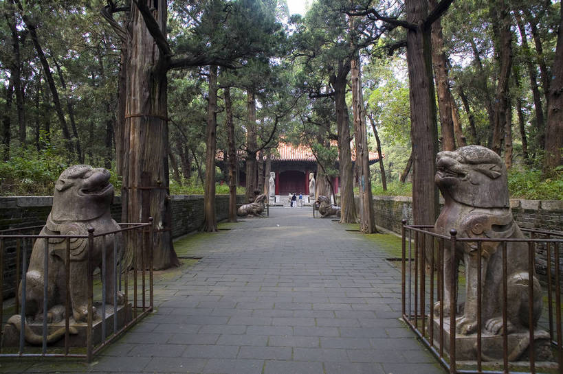 横图,彩色,室外,白天,旅游,度假,名胜古迹,标志建筑,地标,建筑,野生动物,雕塑,中国,遗迹,艺术,装饰,雕刻,雕像,图片,文化遗产,古迹,文物,娱乐,建设,古建筑,山东,石雕,树木,动物,工艺品,享受,休闲,旅游胜地,放松,摄影,古代建筑,纪念,美术,中国文化,主题,凶猛,参观,陈列,古文明,东亚,曲阜,功能,美学,残暴,凶残,旅行,游览,孔林,传统文化,bj174