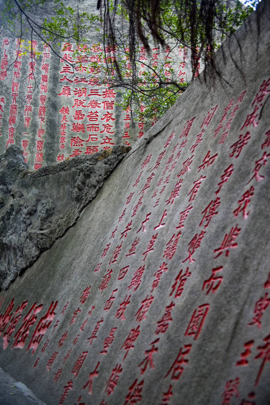 寺庙,竖图,彩色,室外,白天,旅游,度假,名胜古迹,标志建筑,地标,建筑,雕塑,中国,亚洲,节日,遗迹,雕刻,塑像,文化遗产,古典,教育,古迹,历史,文化,文物,娱乐,建设,佛,古建筑,厦门,树,树木,古代,阳光,祈祷,享受,休闲,健康,汉字,旅游胜地,放松,竖,思想,许愿,摄影,宗教,碑文,佛教,信仰,古代建筑,烧香,纪念,拜,祈求,矗立,祷告,清新,文明,中国文化,耸立,古文明,东亚,儒家,福建省,中华人民共和国,挺立,释教,古远,古代文明,流传,平安,旅行,庙,寺,传统文化,bj174