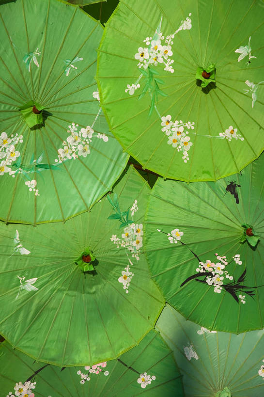 竖图,彩色,室外,特写,白天,旅游,幸福,昆明,中国,亚洲,局部,民俗,伞,雨伞,纸伞,古典,油纸伞,文化,阳伞,云南,特色,竖,摄影,人文景观,纪念,吉祥,矗立,中国文化,古朴,耸立,昆明市,东亚,云南省,中华人民共和国,省会,西南地区,挺立,滇,平安,旅行,西山区,传统文化,云南民族村,bj174