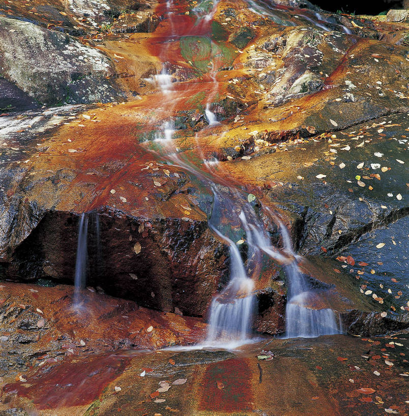 竖图,彩色,室外,特写,白天,旅游,度假,石头,名胜古迹,瀑布,森林,山,树林,溪流,标志建筑,地标,建筑,中国,亚洲,局部,遗迹,石子,景观,青苔,红叶,落叶,美丽,古迹,文物,娱乐,建设,古建筑,小溪,自然,享受,休闲,旅游胜地,放松,竖,摄影,矗立,美好,近景,耸立,古文明,东亚,四川,中华人民共和国,挺立,幽静,山石,石块,秋天,旅行,光雾山,bj174