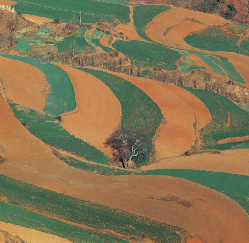农田,横图,俯视,彩色,室外,白天,旅游,度假,田园,中国,亚洲,壮观,耕田,景观,娱乐,自然,享受,休闲,远景,放松,摄影,人文景观,地理,空旷,东亚,地貌,中华人民共和国,苍凉,旅行,地质,bj174