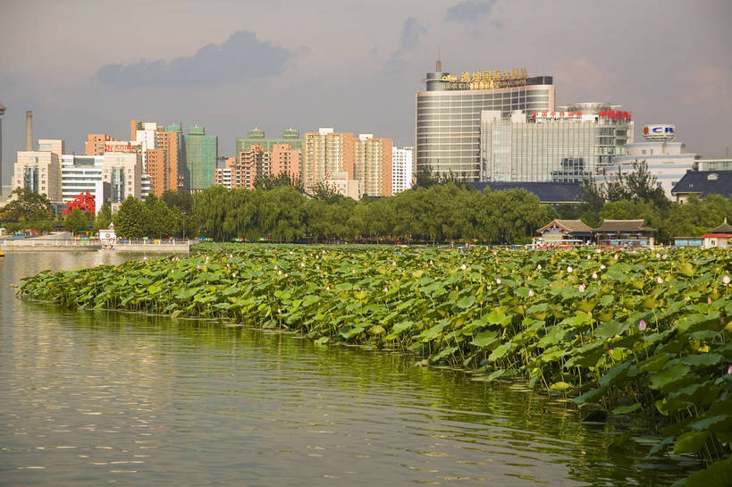 公园,横图,彩色,室外,白天,旅游,度假,名胜古迹,城市风光,标志建筑,地标,建筑,北京,中国,亚洲,遗迹,都市,古迹,文物,娱乐,建设,古建筑,荷花池,自然,享受,休闲,远景,旅游胜地,放松,摄影,荷塘,古文明,东亚,中华人民共和国,旅行,城市公园,莲花池公园,bj174