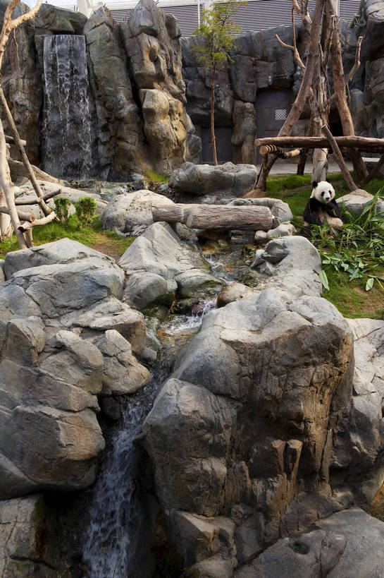 无人,吃,竖图,彩色,室外,白天,旅游,度假,石头,名胜古迹,标志建筑,地标,建筑,竹子,熊猫,香港,中国,遗迹,石子,图片,古迹,文物,娱乐,建设,古建筑,海洋公园,动物,享受,休闲,国宝,旅游胜地,放松,可爱,珍稀动物,都市风光,文明,中国文化,古文明,石块,岩石,旅行,bj174