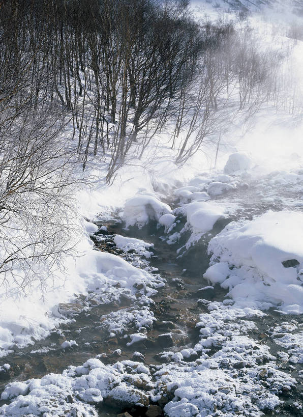 摄影师,竖图,彩色,照片,室外,旅游,雪,植物,长白山,中国,冬天,东方,树木,白色,风景,自然,颜色,摄影,大自然,近景,自然风光,洁白,自然现象,摄像师,bj174