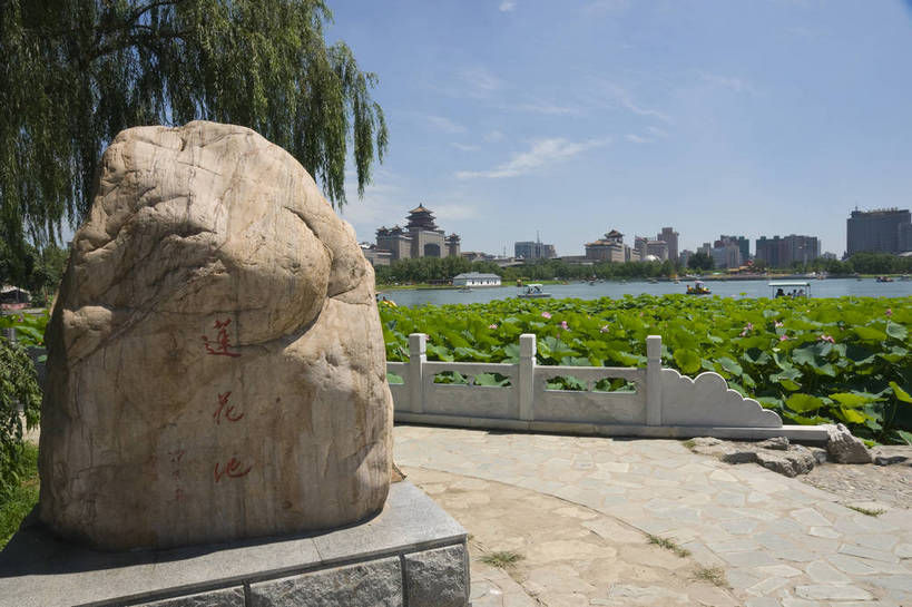 无人,摄影师,公园,横图,彩色,室外,白天,城市,北京,中国,亚洲,翠绿,东方,树木,蓝天,阳光,摄影,晴天,优美,水生植物,摄像师,心旷神怡,祥和,荷花,假山石,旅行,莲花池公园,bj174