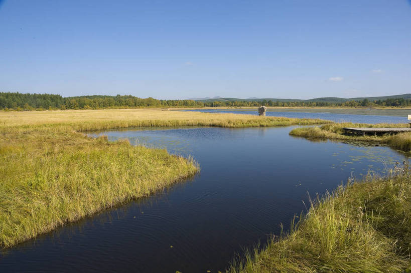 无人,摄影师,横图,彩色,室外,白天,旅游,草原,湖泊,美景,树林,坝上,中国,亚洲,清澈,景观,辽阔,名胜,风景,蓝天,阳光,自然,景色,蒙,晴天,自然风光,东亚,摄像师,内蒙古,塞罕坝,中华人民共和国,华北地区,河北,河北省,冀,内蒙古自治区,鄂尔多斯市,承德,承德市,幽静,秀美,自然景观,丰宁县,大滩镇,坝上草原,丰宁满族自治县,京北第一草原,丰宁,杭锦旗,七星湖,bj174