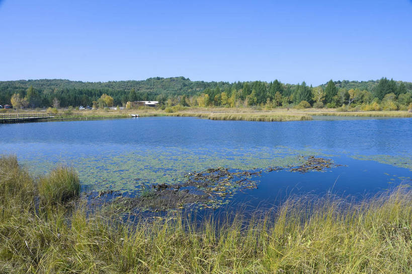 无人,摄影师,横图,彩色,室外,白天,旅游,草原,湖泊,美景,树林,坝上,中国,亚洲,景观,辽阔,名胜,风景,蓝天,阳光,自然,景色,蒙,晴天,自然风光,东亚,摄像师,内蒙古,塞罕坝,中华人民共和国,华北地区,河北,河北省,冀,内蒙古自治区,鄂尔多斯市,承德,承德市,幽静,秀美,自然景观,丰宁县,大滩镇,坝上草原,丰宁满族自治县,京北第一草原,丰宁,杭锦旗,七星湖,bj174