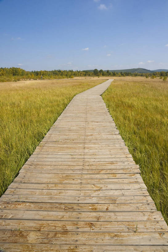 无人,摄影师,竖图,彩色,室外,白天,旅游,草原,美景,树林,坝上,中国,亚洲,景观,辽阔,名胜,白云,风景,蓝天,阳光,自然,景色,蒙,木板路,茂盛,晴天,自然风光,东亚,摄像师,内蒙古,塞罕坝,中华人民共和国,华北地区,河北,河北省,冀,内蒙古自治区,鄂尔多斯市,承德,承德市,幽静,秀美,自然景观,丰宁县,大滩镇,坝上草原,丰宁满族自治县,京北第一草原,丰宁,杭锦旗,七星湖,bj174