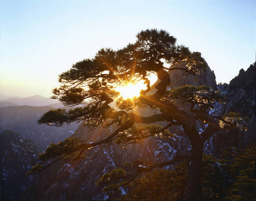 无人,横图,彩色,室外,白天,旅游,度假,黄山,美景,名胜古迹,山,标志建筑,地标,建筑,松树,中国,亚洲,遗迹,图片,山峰,古迹,文物,娱乐,建设,古建筑,风景,天空,自然,群山,享受,休闲,旅游胜地,放松,摄影,地理,风光,宁静,自然风光,古文明,东亚,安徽,安徽省,黄山市,中华人民共和国,华东地区,皖,险峻,黟山,光环,夕阳,世界地质公园,天下第一奇山,送客松,bj174