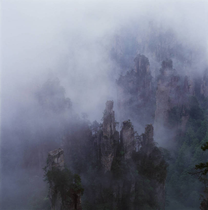 无人,竖图,彩色,室外,特写,白天,旅游,度假,美景,名胜古迹,山,山脉,树林,雾,标志建筑,地标,建筑,张家界,中国,亚洲,遗迹,图片,山峰,山峦,古迹,文物,娱乐,建设,古建筑,风景,自然,群山,享受,休闲,旅游胜地,放松,摄影,地理,缭绕,风光,宁静,自然风光,古文明,东亚,湖南,湖南省,天子山,中华人民共和国,华中地区,湘,张家界市,仙境,险峻,武陵源区,bj174