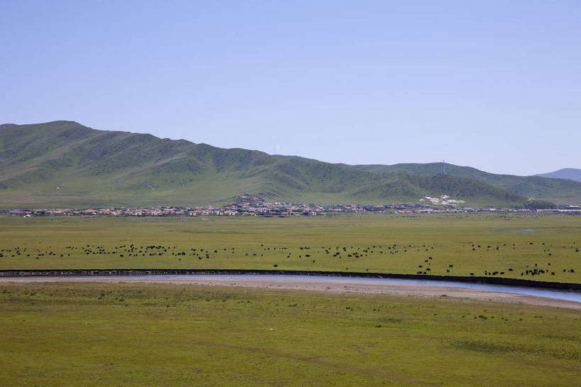 无人,横图,彩色,室外,白天,旅游,度假,牧场,草地,草原,美景,名胜古迹,标志建筑,地标,建筑,牛,羊,中国,亚洲,放牧,遗迹,图片,小河,古迹,文物,娱乐,建设,古建筑,风景,自然,享受,休闲,旅游胜地,放松,摄影,地理,四川省,风光,宁静,自然风光,古文明,东亚,甘肃,甘肃省,四川,阿坝,中华人民共和国,西南地区,阿坝藏族羌族自治州,阿坝州,川,松潘县,西北地区,甘,松潘,红原,红原县,若尔盖草原,若尔盖县,松潘高原,若尔盖,bj174