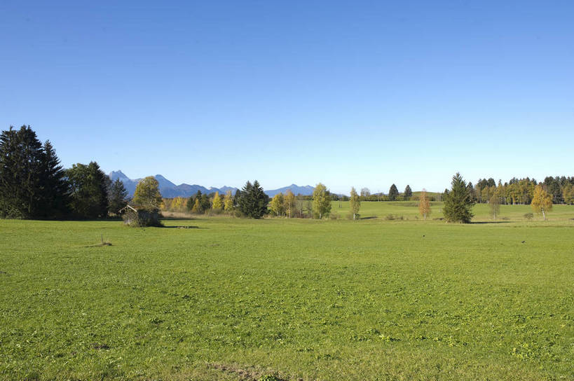 无人,横图,彩色,室外,白天,旅游,度假,草坪,美景,名胜古迹,田园,标志建筑,地标,建筑,德国,遗迹,图片,乡村,古迹,文物,娱乐,建设,古建筑,树,自然,享受,休闲,旅游胜地,放松,摄影,风光,古文明,旅行,菲森,bj174