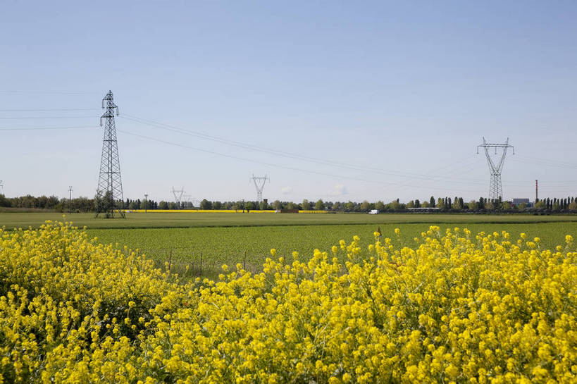 横图,彩色,室外,白天,旅游,度假,草地,草坪,美景,名胜古迹,田园,植物,标志建筑,地标,建筑,意大利,遗迹,盛开,电力,钢材,电缆,电线,图片,支架,花蕾,古迹,文物,娱乐,电塔,建设,古建筑,草,花,花瓣,花朵,花卉,鲜花,绿色,天空,自然,花苞,花蕊,油菜花,享受,休闲,旅游胜地,放松,摄影,能源,风光,支撑,资源,供电设备,高压线,古文明,高压电塔,高压输电线,高压电线塔,高压塔,旅行,bj174