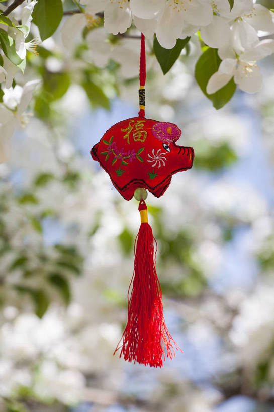 公园,竖图,彩色,室外,特写,白天,背景,旅游,度假,名胜古迹,标志建筑,地标,建筑,海棠花,刺绣,北京,中国,亚洲,悬挂,遗迹,龙,图片,首都,古迹,文物,娱乐,建设,古建筑,花卉,自然,中国结,享受,休闲,香包,旅游胜地,放松,竖,摄影,风光,古文明,东亚,海淀区,中华人民共和国,北京市,京,北平,华北地区,朝阳区,旅行,北京元大都城垣遗址公园,元大都土城遗址,元大都遗址,bj174