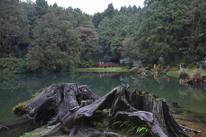 无人,横图,彩色,室外,白天,旅游,度假,湖,美景,森林,台湾,中国,图片,树根,潭,娱乐,自然,享受,休闲,旅游胜地,放松,摄影,阿里山,旅行,bj174