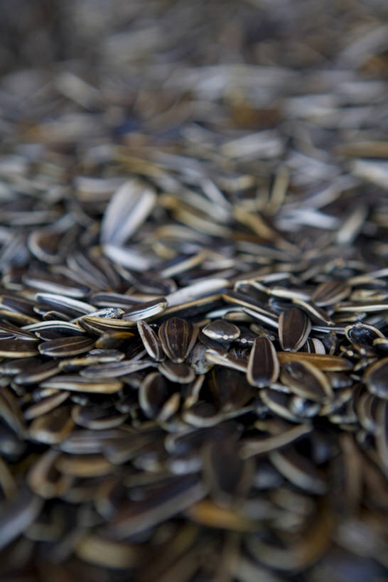 无人,竖图,静物,水果,许多,丰富,食品,坚果,种子,很多,饮食,摄影,健康食物,葵花籽,葵花子,彩图,高角度拍摄,全框架,bj175