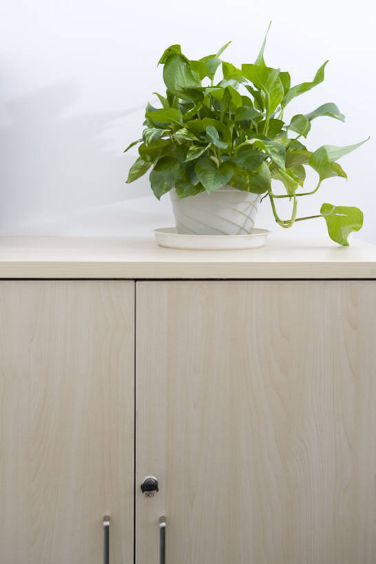 无人,办公室,竖图,室内,正面,植物,静物,雕塑,艺术,装饰,雕刻,雕像,盆栽,办公用品,盆景,现代,书桌,花,树叶,绿色,自然,工艺品,橱柜,舒服,摄影,生长,生活方式,成长,纪念,美术,主题,陈列,功能,美学,绿萝,彩图,bj175