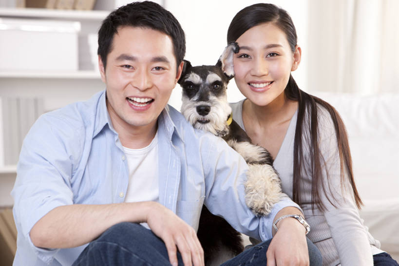 成年人,中年人,两个人,家庭,夫妻,家,客厅,坐,笑,微笑,露齿笑,横图,室内,正面,爱情,游戏,快乐,幸福,纯洁,宠物,狗,玩具,北京,中国,亚洲,梗犬,浪漫,玩,注视,休闲装,娱乐,苏格兰梗,亚伯丁梗,一只,动物,观察,看,休闲,健康,温暖,温馨,一家人,恩爱,可爱,乐趣,童年,童趣,搭,恋人,摄影,生活方式,观看,活动,和睦,察看,起居室,享乐,搭着,发泄,关注,消遣,智力,肖像,童真,东亚,东亚人,烂漫,无邪,髯犬,陪同,忠诚,宣泄,陪伴,异性恋,天真,男人,年轻女性,女人,中年男性,亚洲人,中国人,年轻人,夫妇,情侣,休闲活动,犬,玩耍,嬉戏,拥抱,半身,彩图,爱,深情,愉快,伴侣,融洽,伴随,bj175