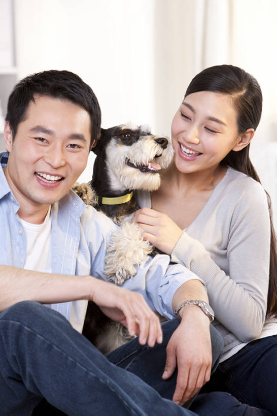 成年人,中年人,两个人,家庭,夫妻,家,客厅,坐,笑,微笑,露齿笑,竖图,室内,正面,爱情,游戏,快乐,幸福,纯洁,合作,宠物,狗,北京,中国,亚洲,梗犬,浪漫,玩,注视,休闲装,娱乐,苏格兰梗,亚伯丁梗,一只,动物,观察,看,休闲,健康,温暖,温馨,一家人,家畜,恩爱,可爱,童年,童趣,搭,恋人,摄影,生活方式,观看,活动,和睦,察看,起居室,享乐,搭着,发泄,关注,消遣,智力,肖像,童真,东亚,东亚人,烂漫,无邪,髯犬,陪同,忠诚,宣泄,陪伴,异性恋,天真,男人,年轻女性,女人,中年男性,亚洲人,中国人,年轻人,夫妇,情侣,休闲活动,犬,玩耍,嬉戏,拥抱,彩图,全身,爱,深情,愉快,伴侣,融洽,伴随,bj175