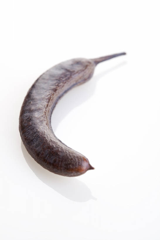 无人,竖图,白色背景,静物,北京,中国,亚洲,堆叠,反射,材料,草药,药草,传统,一个,自然,干花,健康,摄影,有机食品,单个,医疗,维生素,简单,草本,中国文化,干的,中医,东亚,替代疗法,彩图,影棚拍摄,传统文化,皂角,bj175